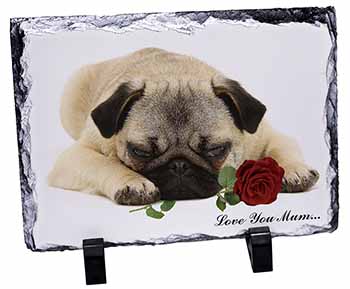 Fawn Pug with Rose 