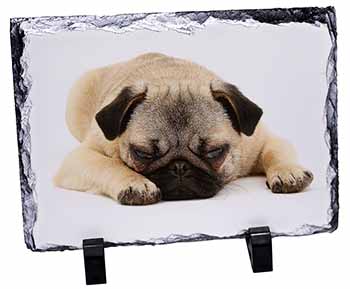 Pug Dog, Stunning Photo Slate