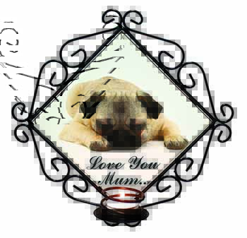 Pug Dog 
