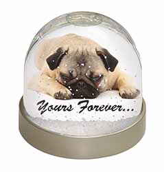 Pug Dog 