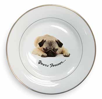Pug Dog 