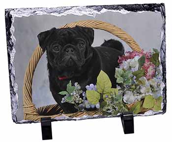 Black Pug Dog, Stunning Photo Slate