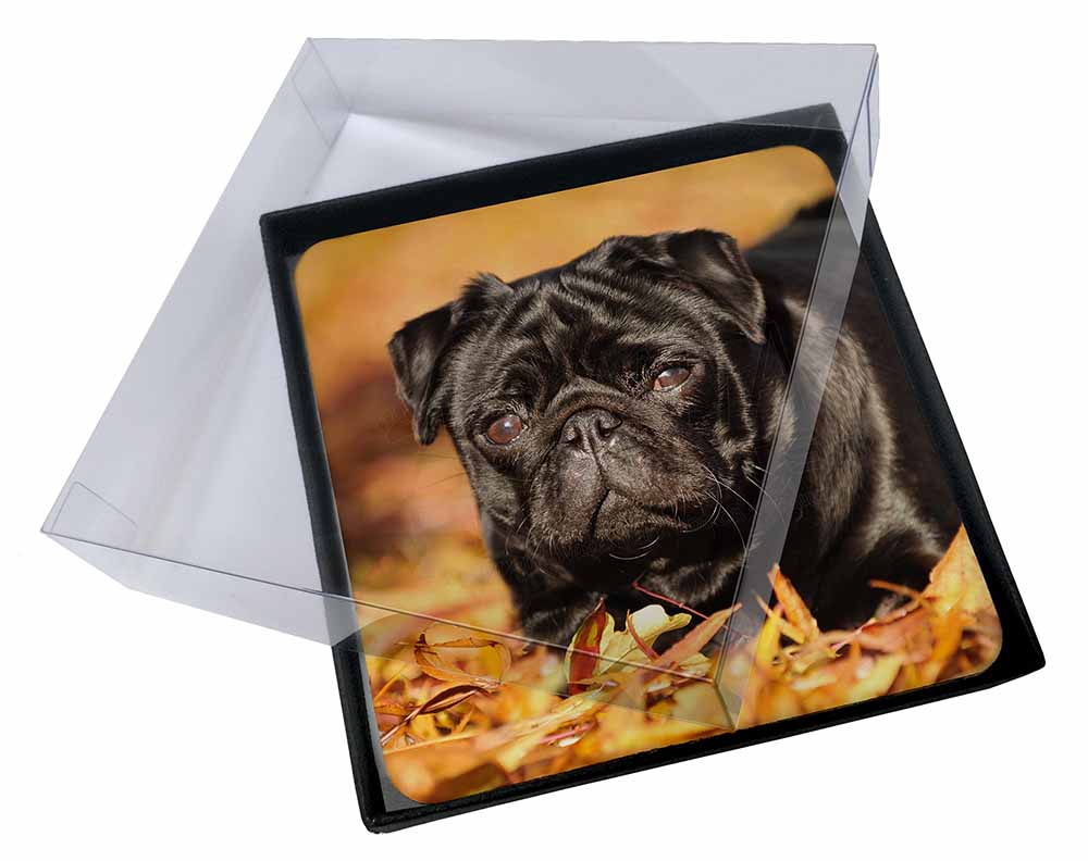 pug products gifts 4x black pug picture table coasters set in gift box id 11535 pug products gifts 4x black pug picture table coasters set in gift box id 11535