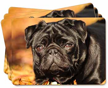 Black Pug Dog Picture Placemats in Gift Box