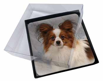 4x Papillon Dog Picture Table Coasters Set in Gift Box
