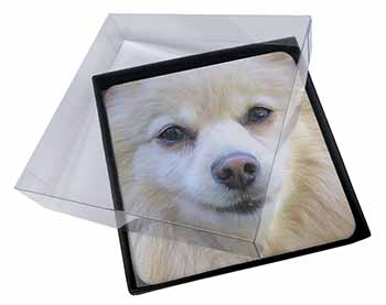4x Japanese Spitz Dog Picture Table Coasters Set in Gift Box