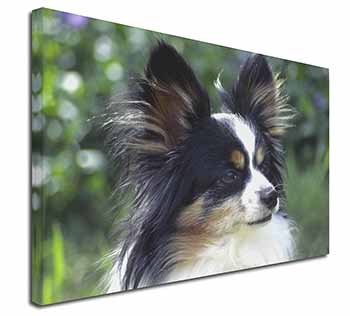 Papillon Dog Canvas X-Large 30"x20" Wall Art Print