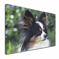 Papillon Dog Canvas X-Large 30"x20" Wall Art Print