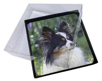 4x Papillon Dog Picture Table Coasters Set in Gift Box