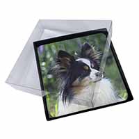 4x Papillon Dog Picture Table Coasters Set in Gift Box