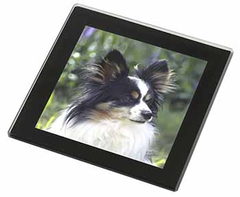 Papillon Dog Black Rim High Quality Glass Coaster