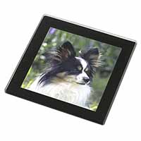 Papillon Dog Black Rim High Quality Glass Coaster