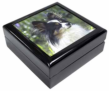 Papillon Dog Keepsake/Jewellery Box