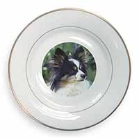 Papillon Dog Gold Rim Plate Printed Full Colour in Gift Box