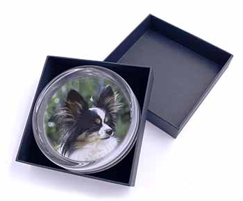 Papillon Dog Glass Paperweight in Gift Box