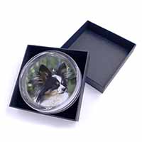 Papillon Dog Glass Paperweight in Gift Box
