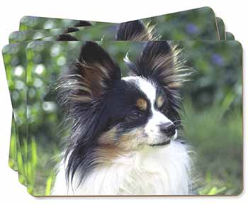 Papillon Dog Picture Placemats in Gift Box