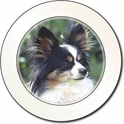 Papillon Dog Car or Van Permit Holder/Tax Disc Holder