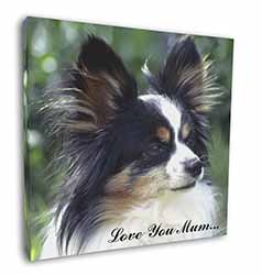 Papillon Dog 