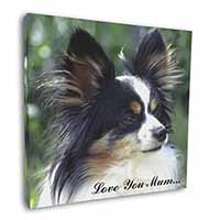 Papillon Dog 