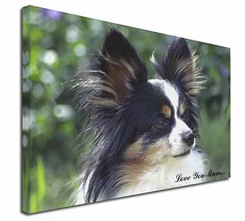 Papillon Dog 