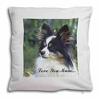 Papillon Dog 