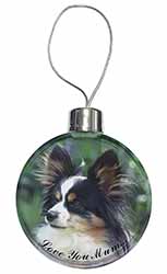 Papillon Dog 