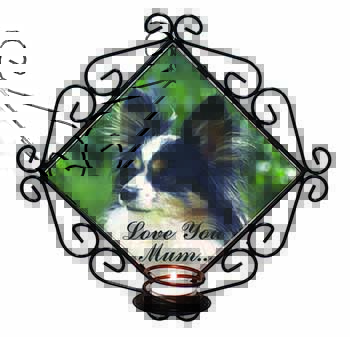 Papillon Dog 