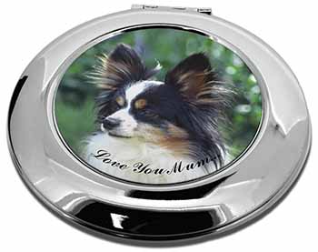 Papillon Dog 