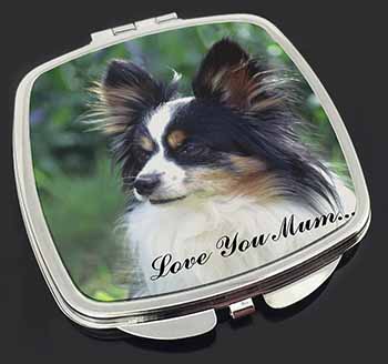 Papillon Dog 