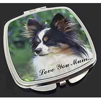 Papillon Dog 