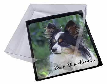 4x Papillon Dog 