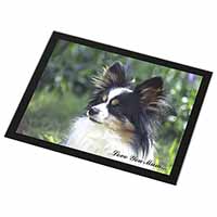 Papillon Dog 