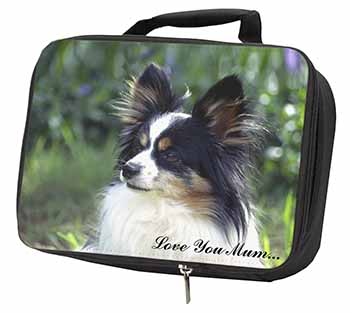 Papillon Dog 