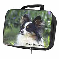 Papillon Dog 