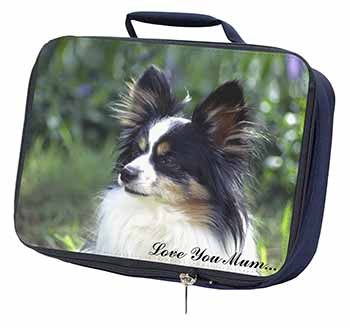 Papillon Dog 