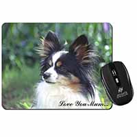 Papillon Dog 