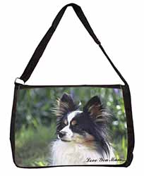 Papillon Dog 