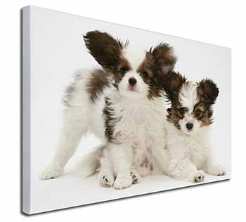 Papillon Dogs Canvas X-Large 30"x20" Wall Art Print