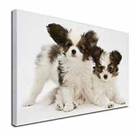 Papillon Dogs Canvas X-Large 30"x20" Wall Art Print