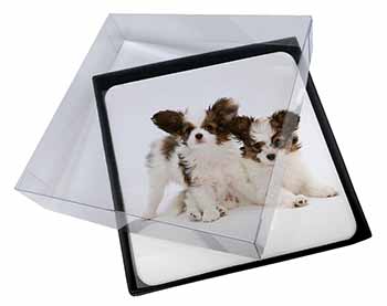 4x Papillon Dogs Picture Table Coasters Set in Gift Box