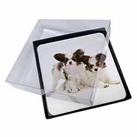 4x Papillon Dogs Picture Table Coasters Set in Gift Box
