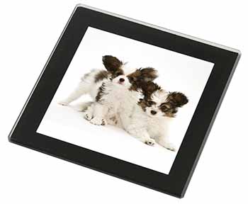 Papillon Dogs Black Rim High Quality Glass Coaster