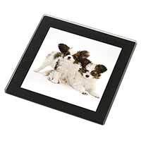 Papillon Dogs Black Rim High Quality Glass Coaster