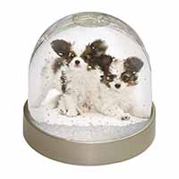 Papillon Dogs Snow Globe Photo Waterball
