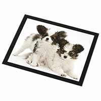 Papillon Dogs Black Rim High Quality Glass Placemat