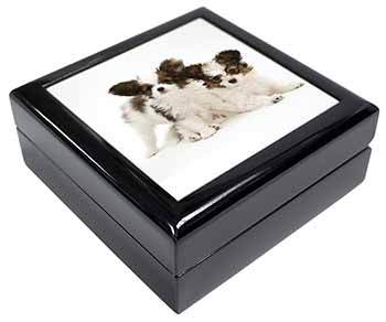 Papillon Dogs Keepsake/Jewellery Box