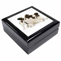 Papillon Dogs Keepsake/Jewellery Box