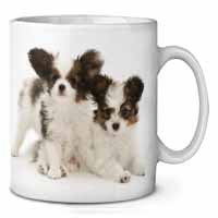 Papillon Dogs Ceramic 10oz Coffee Mug/Tea Cup