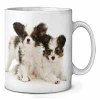 Papillon Dogs Ceramic Coffee Mug/Tea Cup